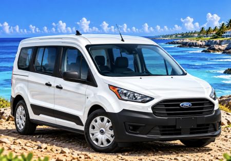 Ford Transit 5 plazas y apto para silla de ruedas