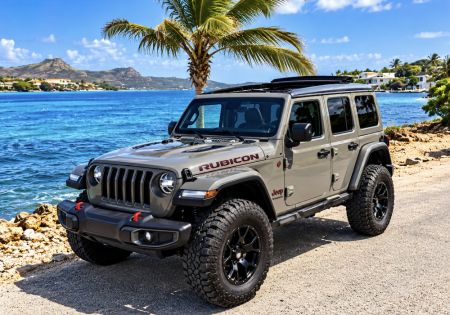 Jeep Wrangler Rubicon cabrio Edition Sting Grey 